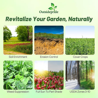 Outsidepride Gardenway Cover Crop Seeds - 10 lbs Nutrient-Rich Seed Mix for Soil Health Improvement & Home Gardens - Mixture of Triticale, Peas, Oats, Vetch, Annual Ryegrass, Crimson Clover