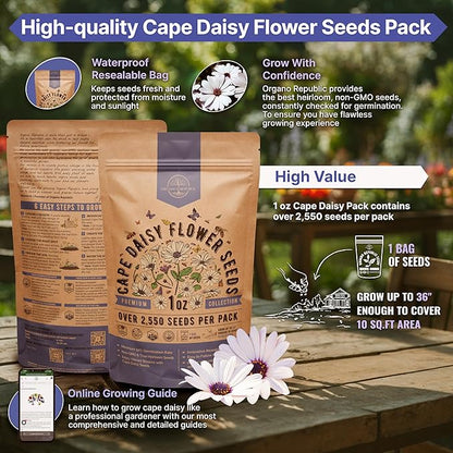 Cape Daisy Flower Seeds Pack 1 oz - Over 2,550 Non-GMO Heirloom Cape Daisy Seeds for Planting, Perennial Flowers in Individual Seed Packet, Seed for Planting Home Garden Indoor & Outdoor Gardening