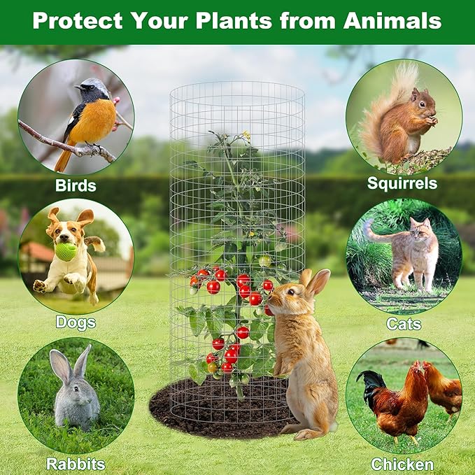 winemana 12 Set Garden Plant Protector Cage, 24x12 in Metal Wire Protectors for Plants, Protection Cages with Stakes & Nylon Ties, Animals Barrier to Keep Rabbit & Chicken Away from Flower Vegetables