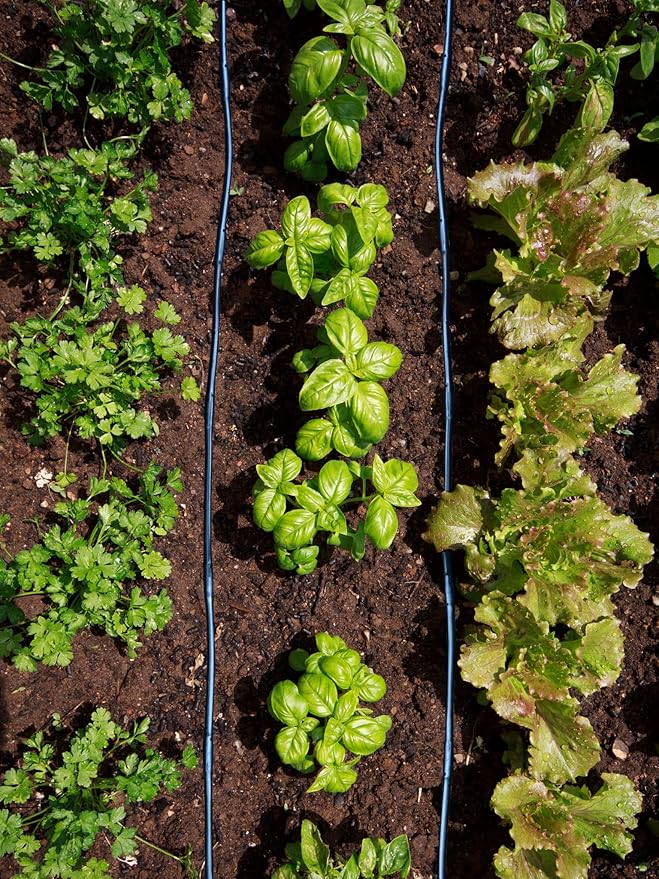 1/4" Irrigation Dripline Tubing (100 Ft Roll) - 6" Emitter Spacing - 1/4" Drip Irrigation Fittings Included