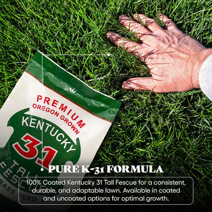 X-Seed Oregon Grown Kentucky 31 Tall Fescue Grass Seed for Sun and Shade Drought-Resistant Lawn for High Traffic, Forage & Turf Grass – Designed for Extreme Durability & Retaining Moisture – 5 lb Bag