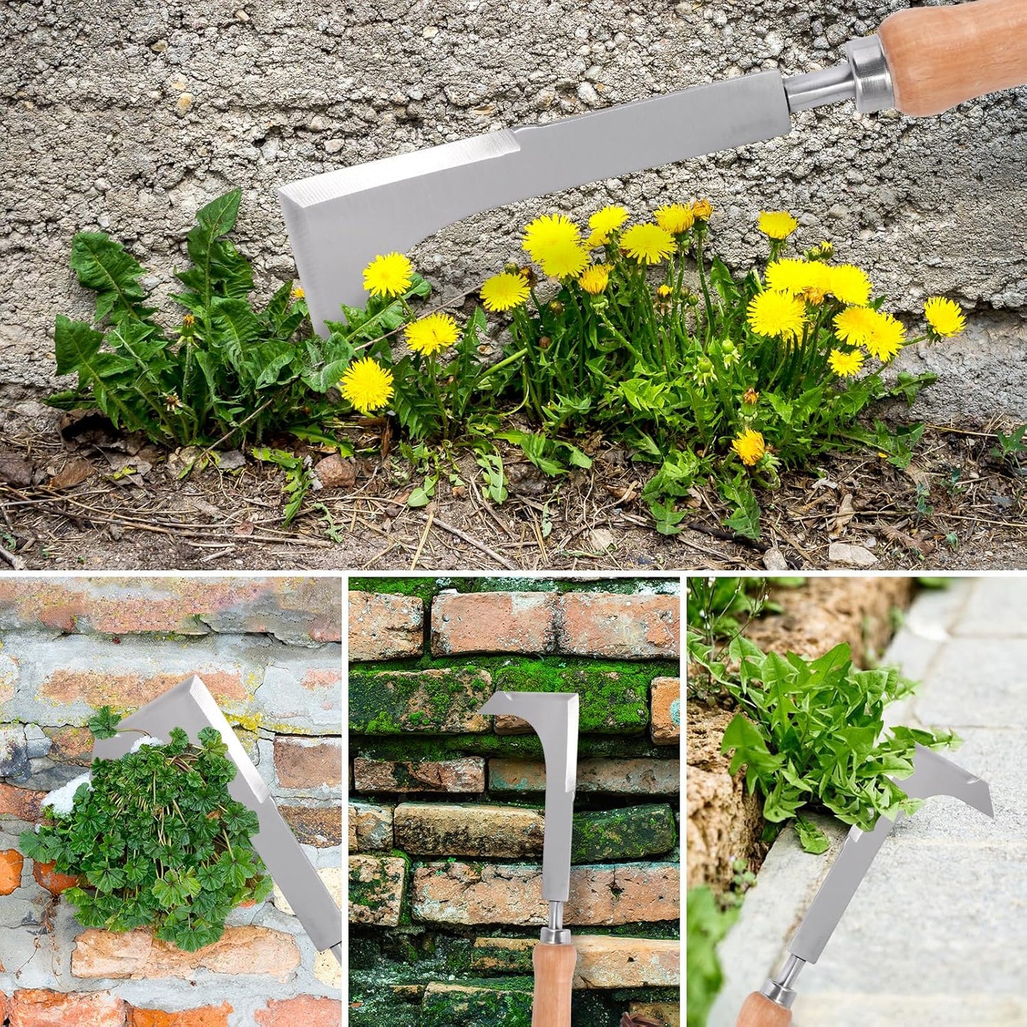 Effective Sidewalk Crack Weeder Tool -Manual Crack Weeder Weed Remover Tool for Garden Yard - L-Type Stainless Steel Weed Crevice Tool