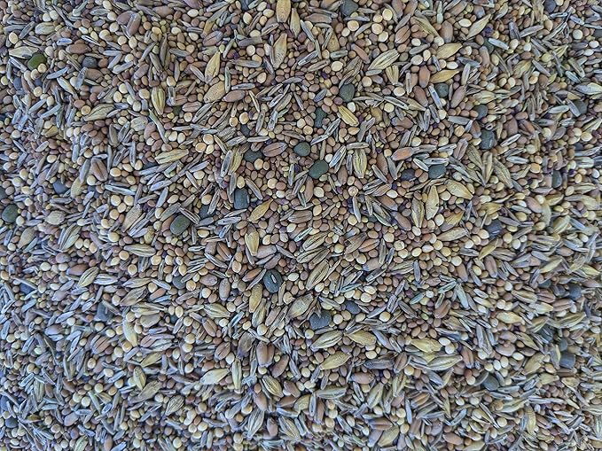 Premium Chicken Poultry Pasture Forage and Fodder Seeds (1-lb. Bag) - [33% Each: Clovers, Supplemental, Grains]