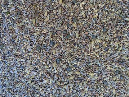 Premium Chicken Poultry Pasture Forage and Fodder Seeds (1-lb. Bag) - [33% Each: Clovers, Supplemental, Grains]