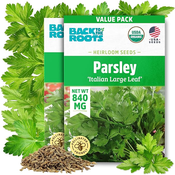 Back to The Roots 100% Organic Heirloom Seeds - Giant of Italy Parsley Value Pack (840mg Total)