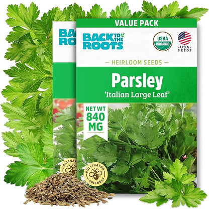 Back to The Roots 100% Organic Heirloom Seeds - Giant of Italy Parsley Value Pack (840mg Total)