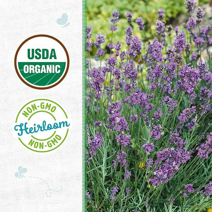 Back to The Roots 100% Organic Heirloom Seeds - Lavender Value Pack (90mg)