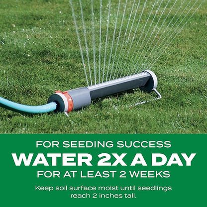 Scotts Turf Builder Thick'R Lawn Southern Gold Blend for Tall Fescue Lawns, Grass Seed, Fertilizer, and Soil Improver, 40 lbs.