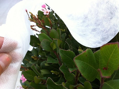 Agfabric Plant Covers Freeze Protection Floating Row Covers 14'x100' 0.9oz Plant Covers Freeze Sun Protection,Frost Cloth for Vegetables,White