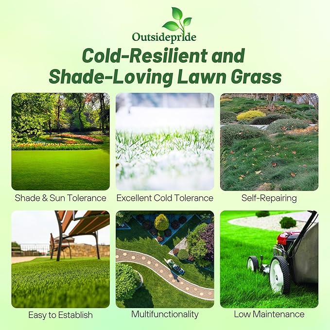 Outsidepride Creeping Red Fescue Grass Seed - 50 Lbs. Cool Season, Soft Textured, Self-Repairing Fine Fescue Grass Seeds for Lawn w/OptiGrowth Coating, Ideal for Dryland Cover Crop & Landscaping