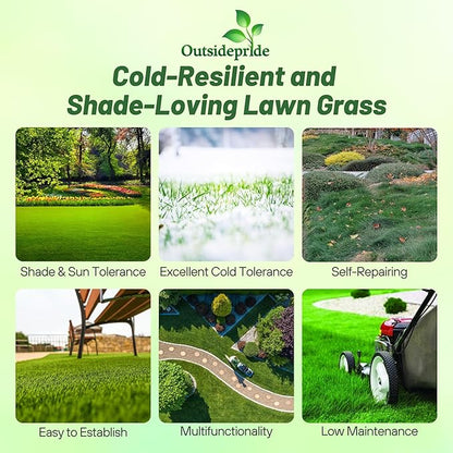 Outsidepride Creeping Red Fescue Grass Seed - 50 Lbs. Cool Season, Soft Textured, Self-Repairing Fine Fescue Grass Seeds for Lawn w/OptiGrowth Coating, Ideal for Dryland Cover Crop & Landscaping