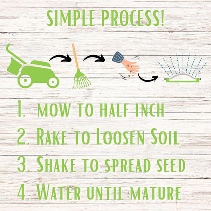 Flawn Seed Kits 8.8 oz Micro Clover Seed, Organic Coated, Eco-Friendly, Low Growing, Low Maintenance, Lawn Alternative, Kraft Zipper Pouch, Covers up to 2000 Sqft