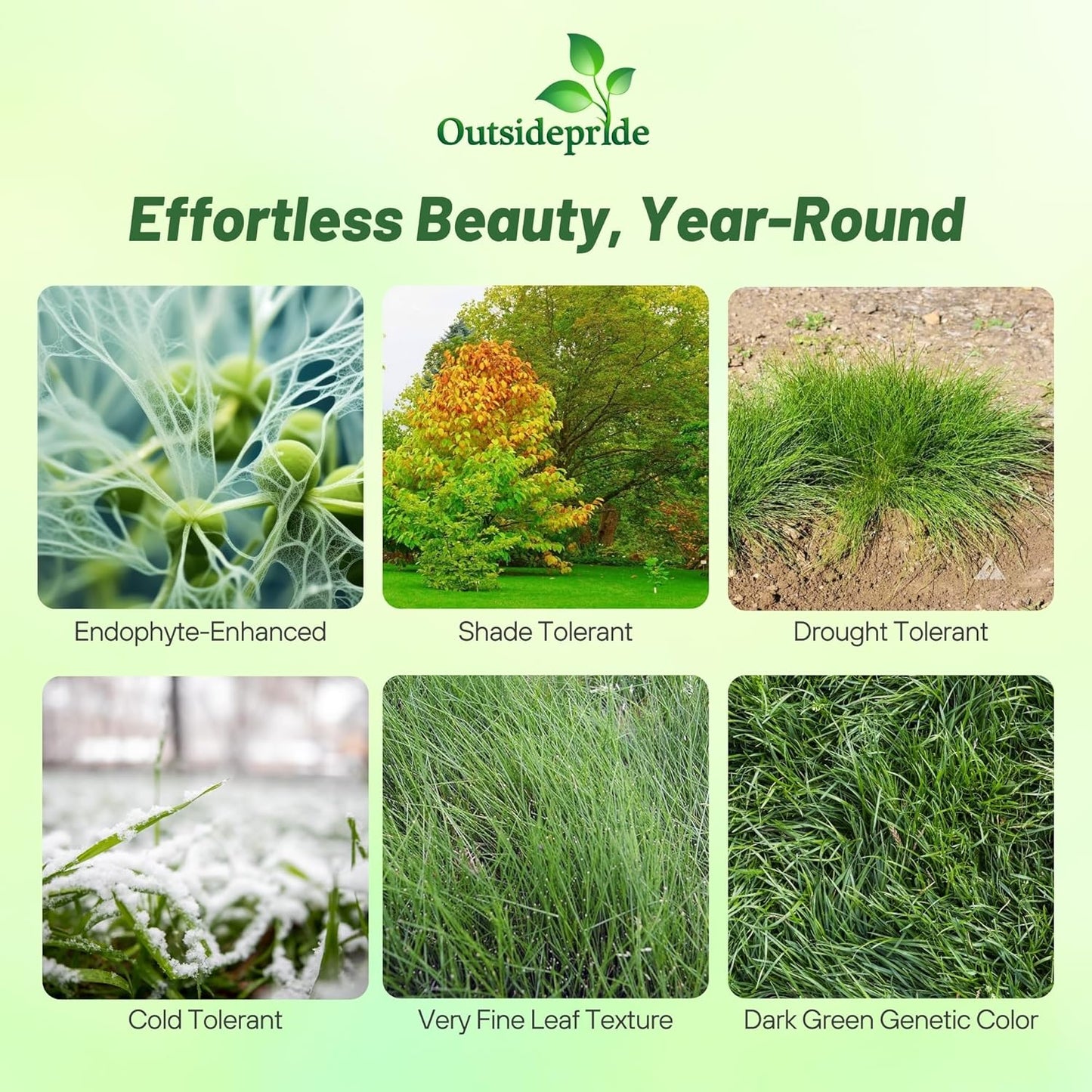 Outsidepride Hard Fine Fescue Grass Seed - 10 lbs. Low-Growing, Drought & Shade-Tolerant, OptiGrowth Coated Seed for Lawn & Turf, Ideal for Low-Maintenance, Dense, & Resilient Green Ground Cover