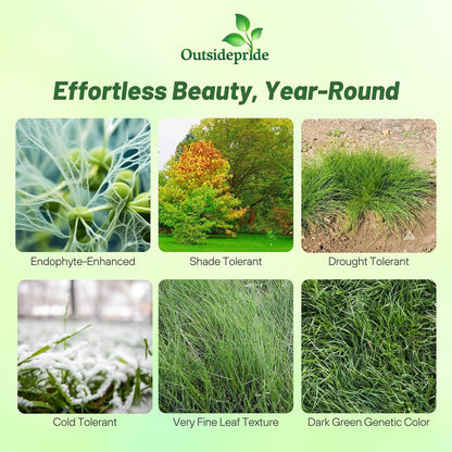Outsidepride Hard Fine Fescue Grass Seed - 50 lbs. Low-Growing, Drought & Shade-Tolerant, OptiGrowth Coated Seed for Lawn & Turf, Ideal for Low-Maintenance, Dense, & Resilient Green Ground Cover