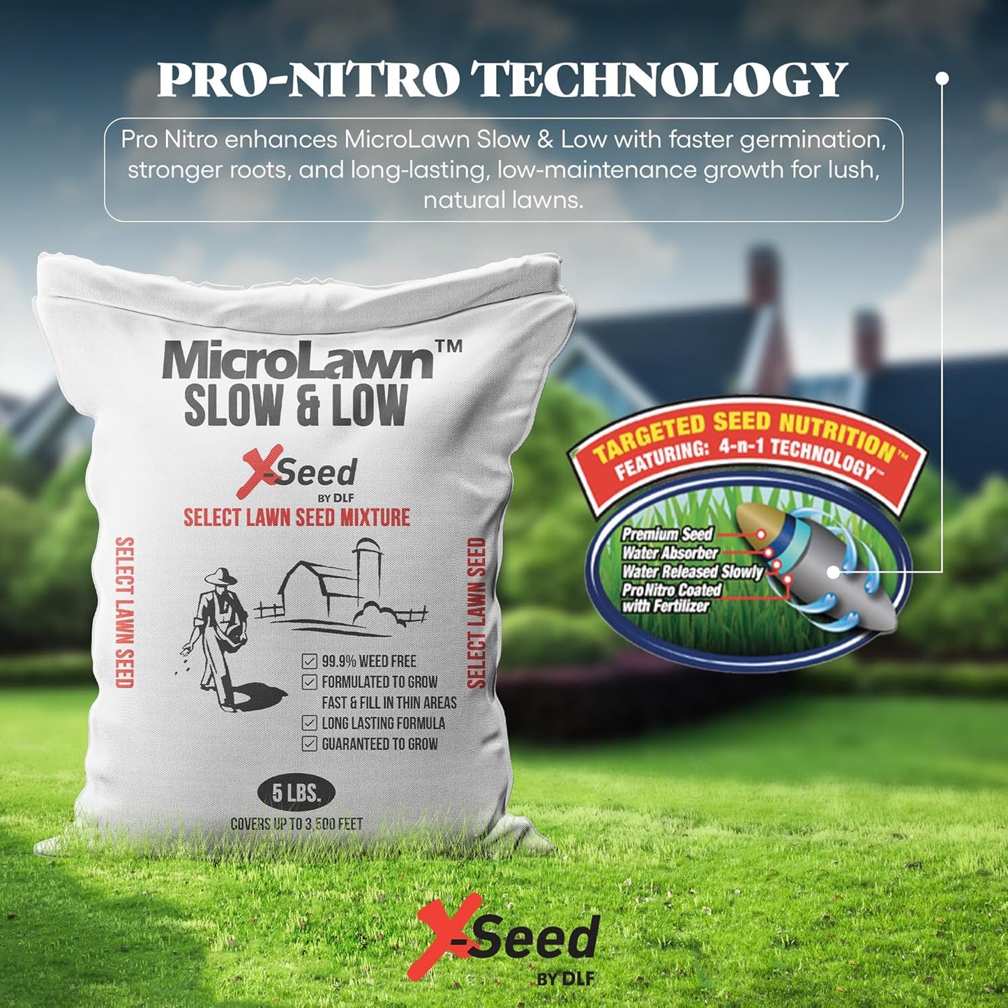 X-Seed Micro-Lawn Slow & Low Grass Seed for Cool Season Lawns, No Mow Natural Areas, Sun to Full Shade, Slow and Low Growing Micro Clover, Creeping Red Fescue, Intermediate Ryegrass, Starter Bag, 5LB