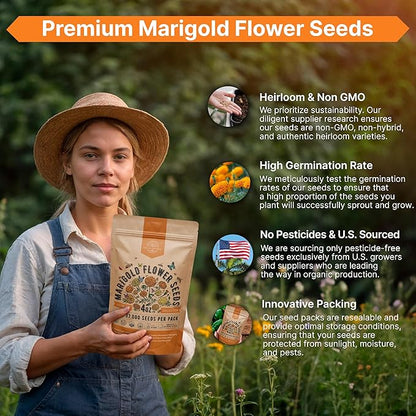 Marigold Seeds Pack 4 oz - Over 37,000 Non-GMO Heirloom Marigold Seeds for Planting Indoor & Outdoor Gardening, Flower Seed for Planting Home and Garden, Flowers Seed in Individual Packet