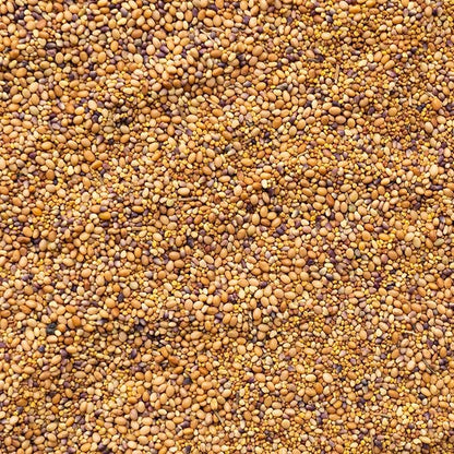 Clover Trio Seed Blend – Premium 25 LB Bulk ~4,480,000 Seeds – Red, White & Crimson Clover – Cover Crop & Soil Enrichment Mix