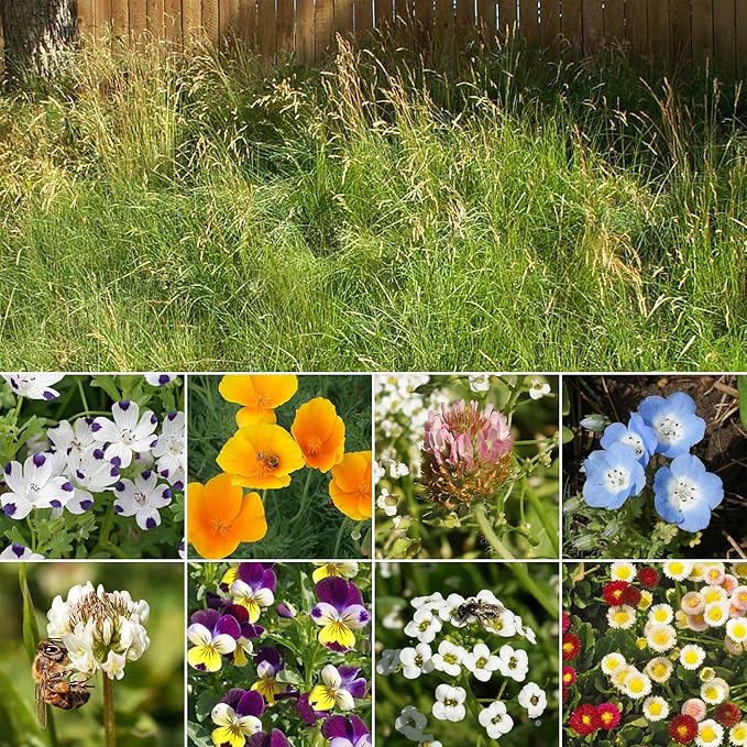 Ferry-Morse Flowering Grass Alternative Mix Bulk Wildflower Seeds, 1lb