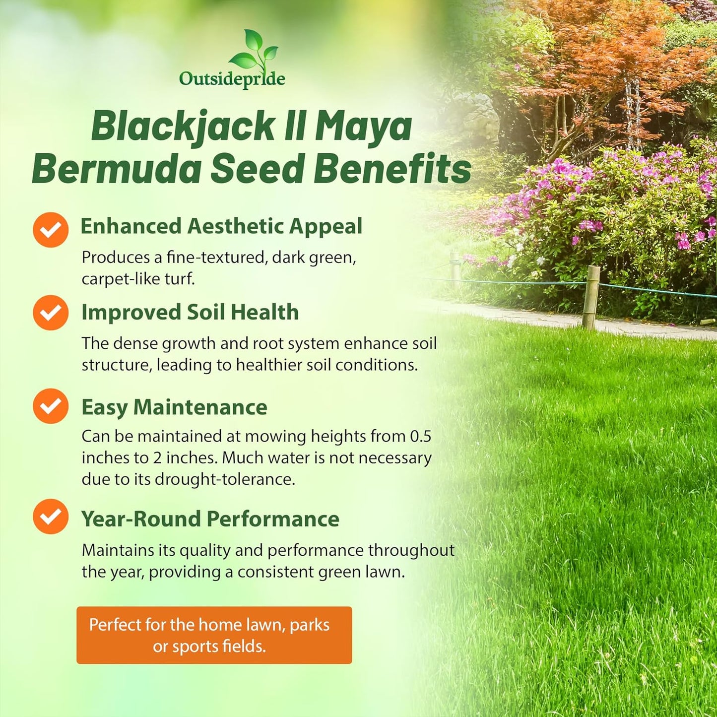 Outsidepride Maya (Blackjack II) Bermuda Grass Seed - 5 lbs Warm Season, Drought Tolerant, Fast Growing, Fine-Textured Bermuda Grass Seeds for Lawn, Parks, Golf Courses & Sports Fields