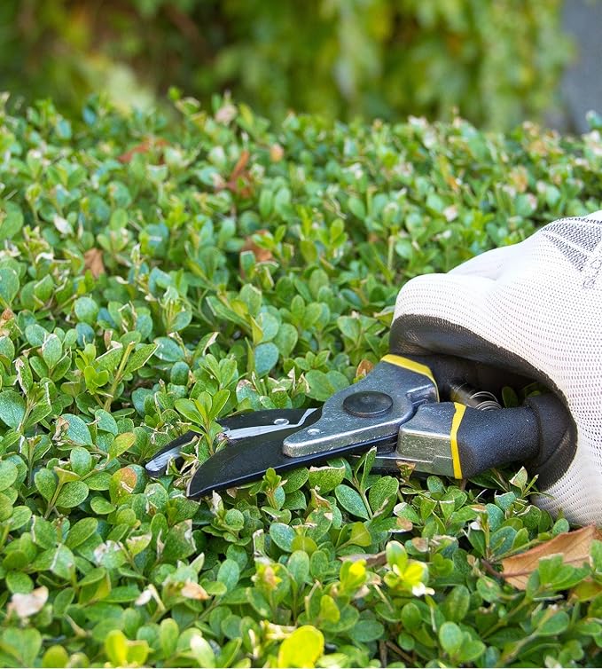 Astorn 8" Premium Bypass Pruning Shears for Gardening - Heavy Duty, Ultra Sharp Garden Shears w/Ergonomic Soft Grip Handle - Made with High-Grade Carbon Steel - Ideal for Cutting, Gardening & Trimming