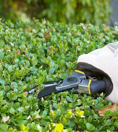 Astorn 8" Premium Bypass Pruning Shears for Gardening - Heavy Duty, Ultra Sharp Garden Shears w/Ergonomic Soft Grip Handle - Made with High-Grade Carbon Steel - Ideal for Cutting, Gardening & Trimming