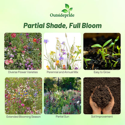 Outsidepride Partial Shade Wild Flower Seed Mix for All States - 1 lb. Premium Blend of Annual & Perennial Wildflowers, Perfect for Partial Shade Areas, & Outdoor Planting for Gardens & Lawns
