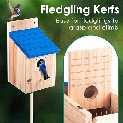 Dreyoo 3 Pack Cedar Bluebird Box Houses for Outside, 1-1/2'' Entrance Hole Wooden Bird Houses with Metal Guard, Secure Latch, Fledgling Grooves, Air Vents for Bluebird Wren Swallow