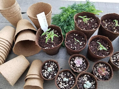 Daniel's Plants 3" Naked Pots | Natural Plantable Seed Starter Pots | OMRI-Listed Biodegradable for Seedlings | Enhanced Drainage & Aeration | Earth Friendly - Peat Free | 16 Pack 3 Inch Round