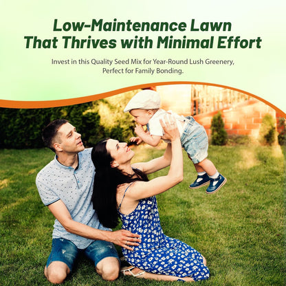 Outsidepride Perennial Buffalo Grass Seed - 2 lbs Heat & Drought Tolerant, Low Maintenance, Warm Season Dense Turf Grass Seed for Lawn, Xeriscape Landscaping, & Roadside Planting