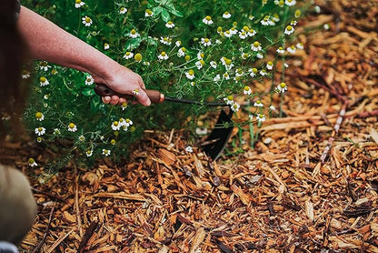 Barebones Square Hand Hoe - Garden Hoe for Weeding with a Long Handle - Japanese Gardening Tool, Sickle Garden Tool (Black/Walnut)