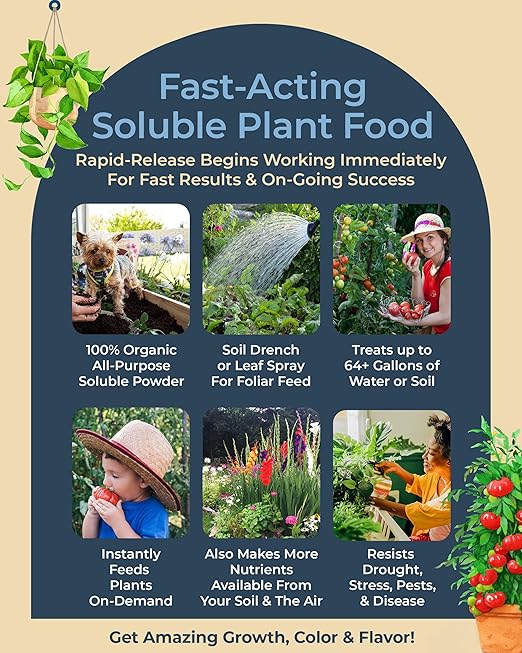 Organic Plant Magic - Truly Organic™ Fast-Acting Soluble Plant Food: All-Purpose Fertilizer Concentrate for All Flower Vegetable Herb Fruit Tree Shrub Container Garden & House Plants [One 1 lb Bag]
