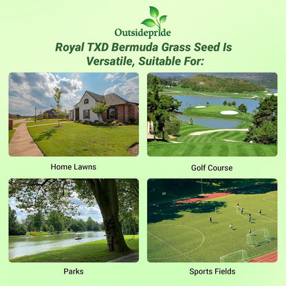 Outsidepride Royal TXD Bermuda Grass Seed Blend - 5 lbs. Warm Season, Fast Growing Turf Grass Seeds: Heat & Drought Tolerant, Ideal for Home Lawns & Sports Fields, Dense & Lush Green Coverage