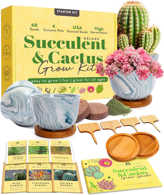 Succulent & Cactus Grow Kit – Complete Plant Gift Set with 4 Ceramic Pots & Trays, 6 Seed Packs (3 Cactus, 3 Succulent), Plant Markers, Peat Pellets, Nutrients & Guide – Ideal Holiday & Birthday Gift