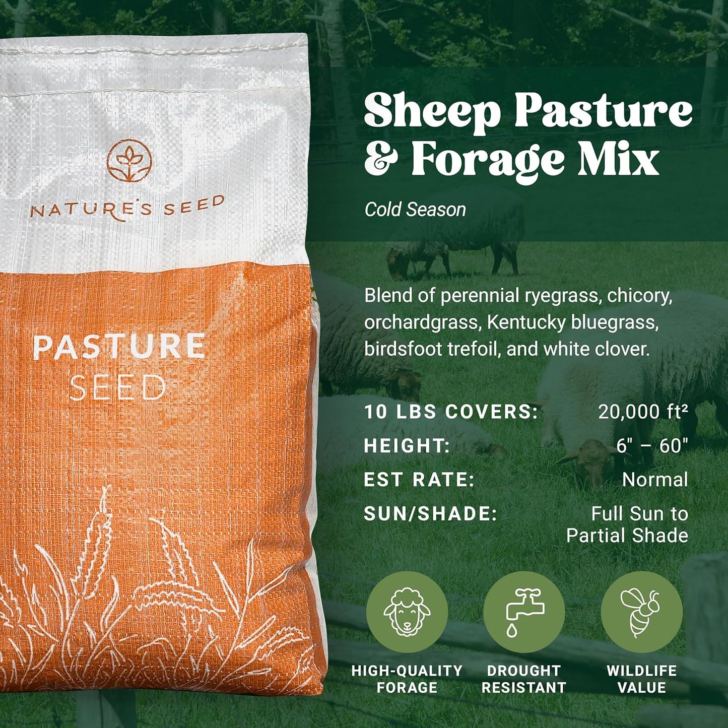 Nature's Seed Northern Sheep Forage Mix, Cattle Pasture Grass Seed Cool-Season Blend, Nutrient-Rich, 10 lbs