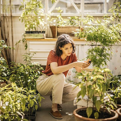 Fiskars Pruning Snips - 6" Garden Shears with Comfort Grip and Spring Action - Sharp and Precise Non-Stick Steel Blades - Quality Pruning Shears for Plants in Grow Tents and Hydroponics - 2 Pack