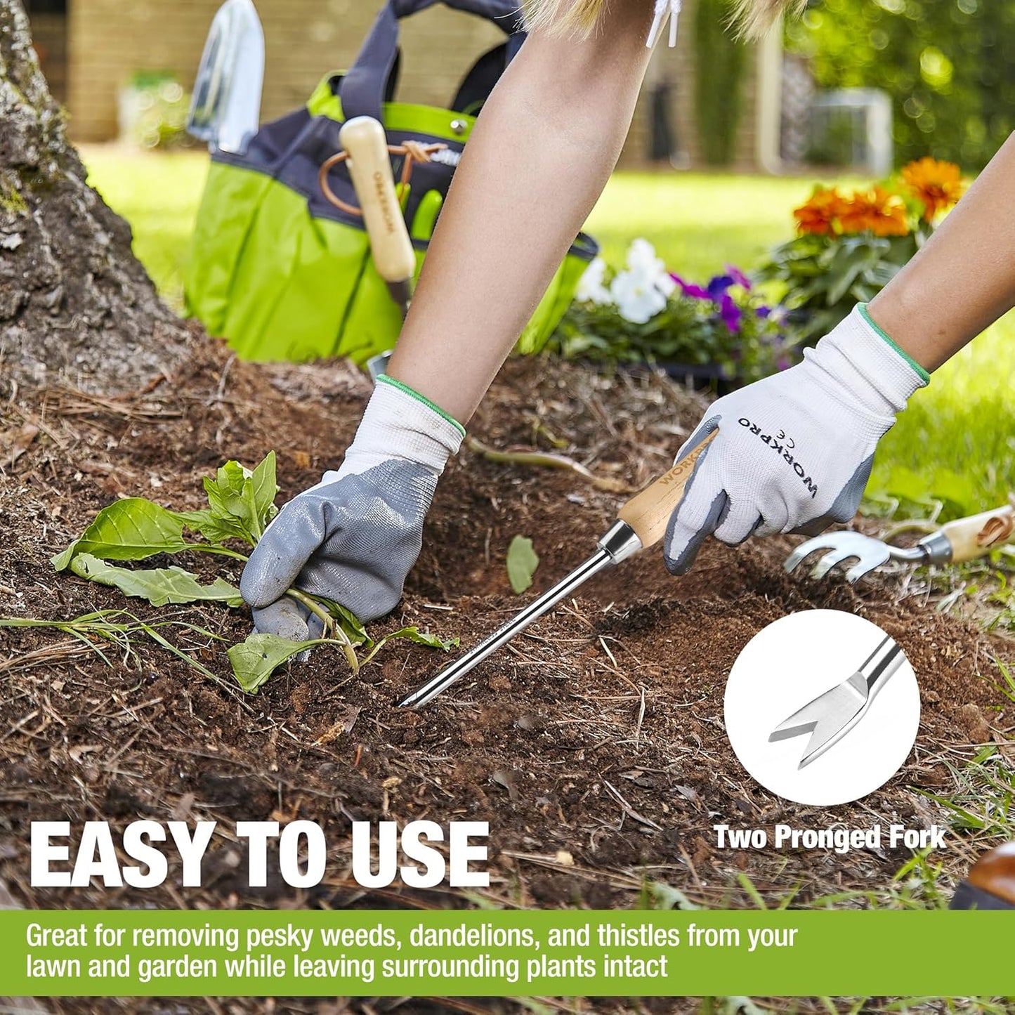 WORKPRO Dandelion Weeder Puller Tool with Wood Handle, Polished Stainless Steel Garden Weed Remover Tool, Two-Pronged Fork Weeder Tool for Lawn Farmland Transplant Gardening Plant Tool