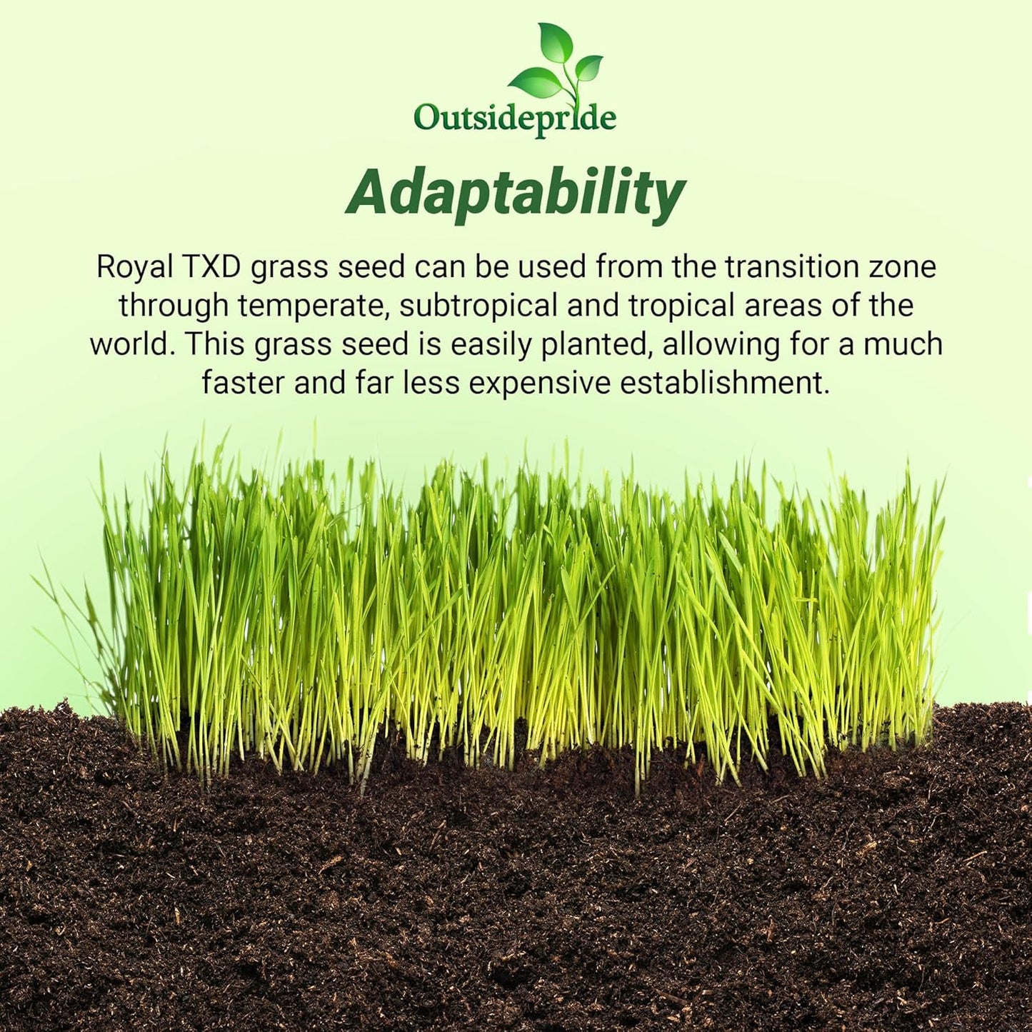 Outsidepride Royal TXD Bermuda Grass Seed Blend - 2 lbs. Warm Season, Fast Growing Turf Grass Seeds: Heat & Drought Tolerant, Ideal for Home Lawns & Sports Fields, Dense & Lush Green Coverage