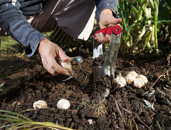 TABOR Tools 3-Piece Bulb Planting Garden Tool Set D123A