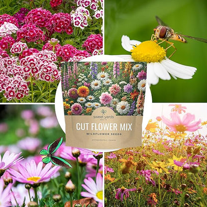 Cut Flower Garden Seeds - Extra Large 1 Ounce Packet - Over 7,500 Fresh Open Pollinated Non-GMO Wildflower Seeds - Long Lasting Annuals and Perennials with Bright Colors