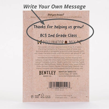 Bentley Wildflower Mix, Pre Filled Hummingbird Packets, 25 Annual Flower Packs, Perfect Eco-Friendly Gift for DIY Gardeners or New Homeowners, Non GMO Seeds