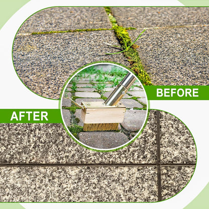 Moss Remover Brush Crack Weeder Tool Stainless Steel Crevice Weeder with 2 Brush Heads - Long Handle Weed Puller for Deck, Patio, Walkway, Driveway Crevice Cleaning Tool (Moss Remover Tool-2)