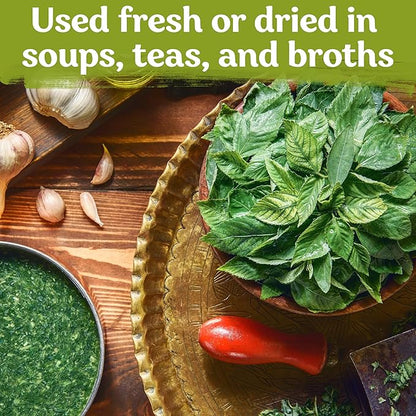 KVITER 3000 Egyptian Spinach Seeds - Molokhia (Corchorus Olitorius) – Jute Leaves, Ewedu, Rau Day, Saluyot Vegetable Seed – Non GMO & Heirloom Vegetable Seeds for Planting Outdoors & Indoors