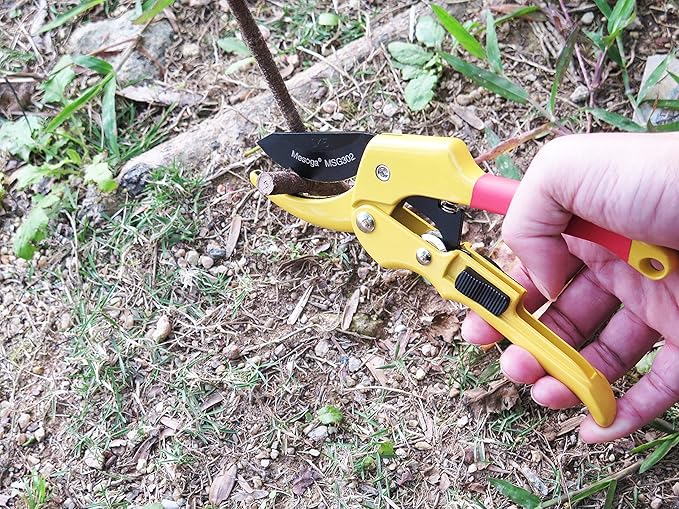 Bypass Pruning Shears 8 Inch Sharp and Easy to Hold Garden Shears, Clippers, Scissors (MSG302)