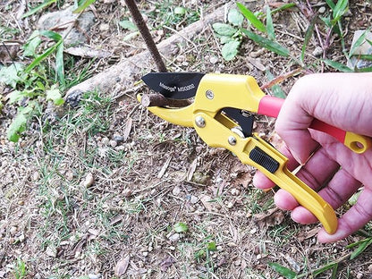 Bypass Pruning Shears 8 Inch Sharp and Easy to Hold Garden Shears, Clippers, Scissors (MSG302)