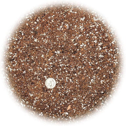 Gardenera Premium Raspberry Potting Soil Mix - Optimal Blend for Thriving and Juicy Berries - 1 Quart