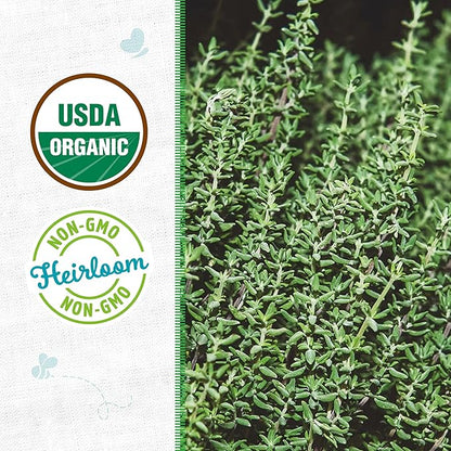 Back to The Roots 100% Organic Heirloom Seeds - Thyme Value Pack (140mg Total)