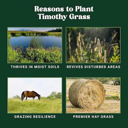 Nature’s Seed Timothy Pasture Grass Seed for Horse, Equine, Forage and Hay, Cool-Season Perennial, 5 Lbs