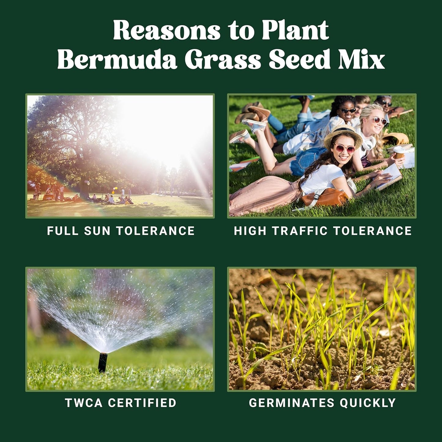 Nature’s Seed TWCA Water-Wise Blue Ribbon Mix, Kentucky Bluegrass and Perennial Ryegrass Grass Seed Blend, High-Traffic, Shade Tolerant, for Garden, Lawn, Yard, 5 lbs