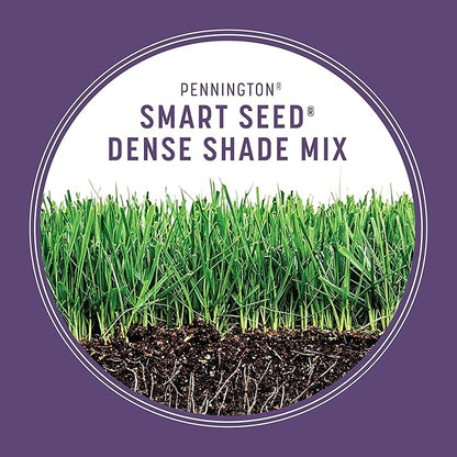 Pennington Smart Seed Dense Shade Grass Mix 3 lb