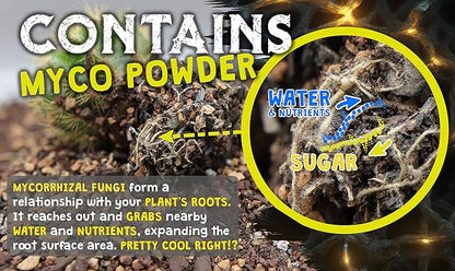 High Drainage Cactus Soil Potting Mix with Mycorrhizal Fungi - 8 Pounds / 4 Quarts of Soil for Succulents and Cactus - Slightly Acidic, Gritty Soil for Healthy Indoor Plants - Spike & Bloom